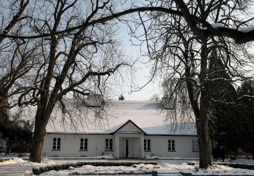 Na czym grał Fryderyk Chopin oprócz fortepianu: zaskakujące instrumenty