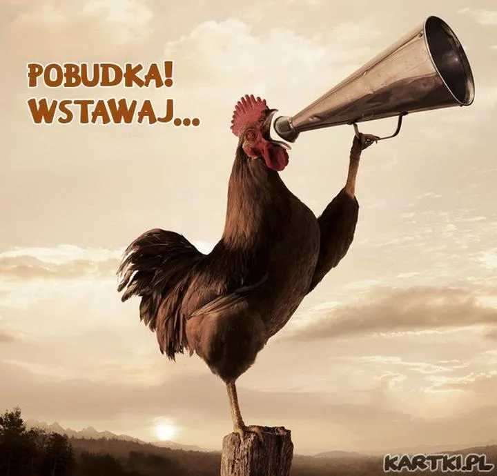 Pobudka: Niezwykły dokument ukazujący dzieci w walce z traumą