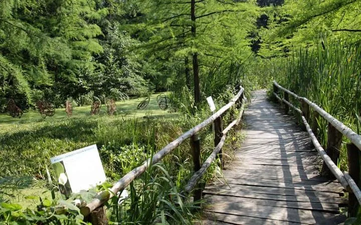 Zagubione arcydzieła filmowe, które warto odkryć na nowo