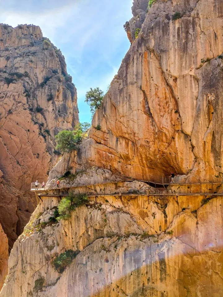 Ewolucja postaci Rey