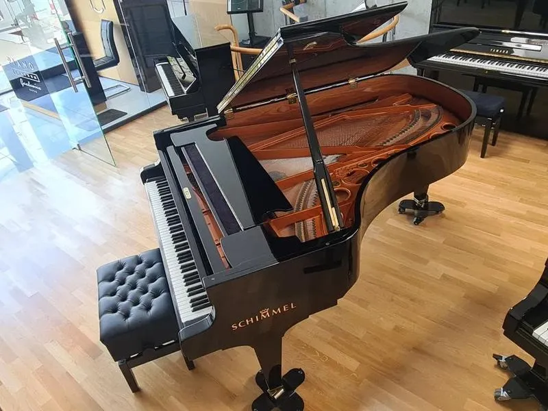 Fortepian instrument strunowy