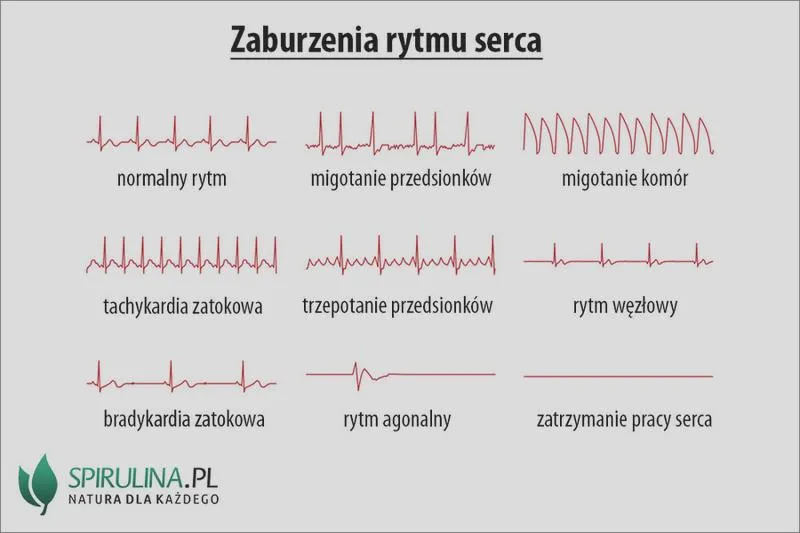 Francuski film W rytmie serca