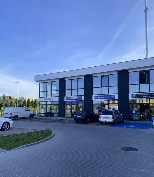 Globalna prognoza przychodów