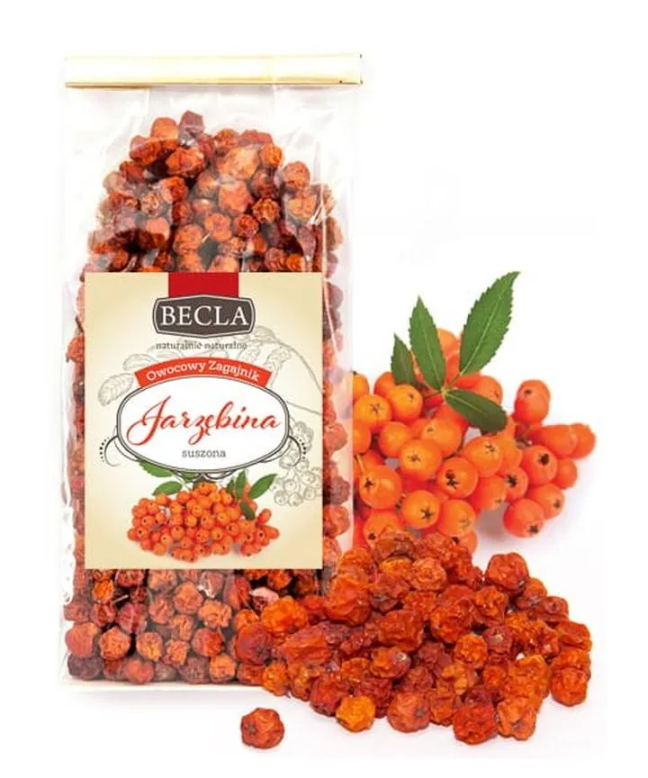 Jarzębina w poezji i naturze