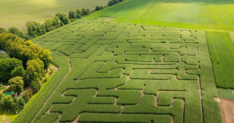 Mroczne tajemnice w filmach