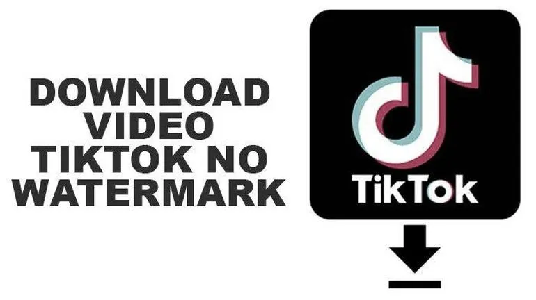 Poradnik TikTok