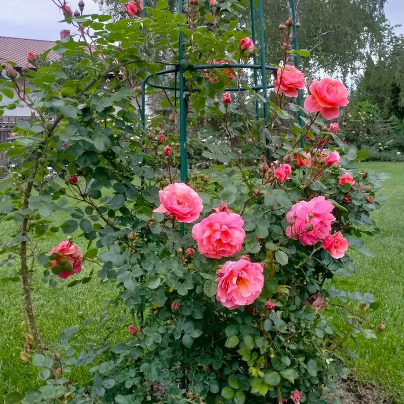 Winterfell historia i znaczenie